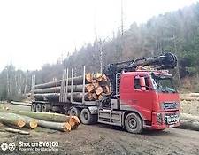 Volvo timber truck FH, Epsilon 300l